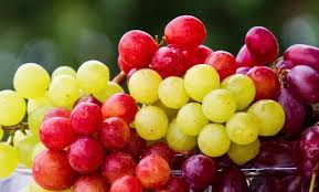 Table Grapes